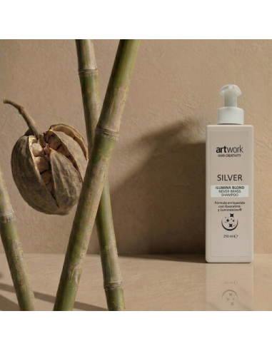 Shampoo Silver Matizador 250ml | Neutraliza Amarillos y Aporta Brillo